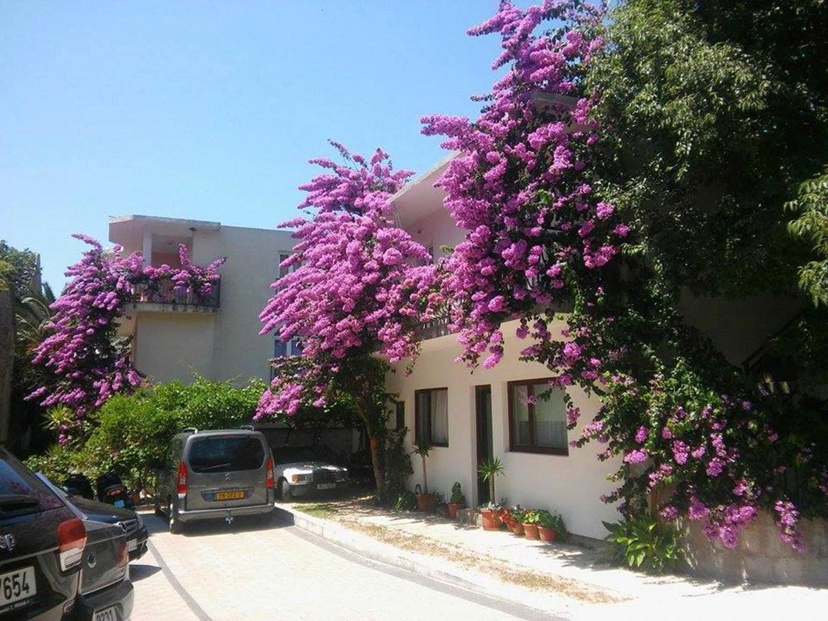 Apartments Martin Drvenik  Εξωτερικό φωτογραφία